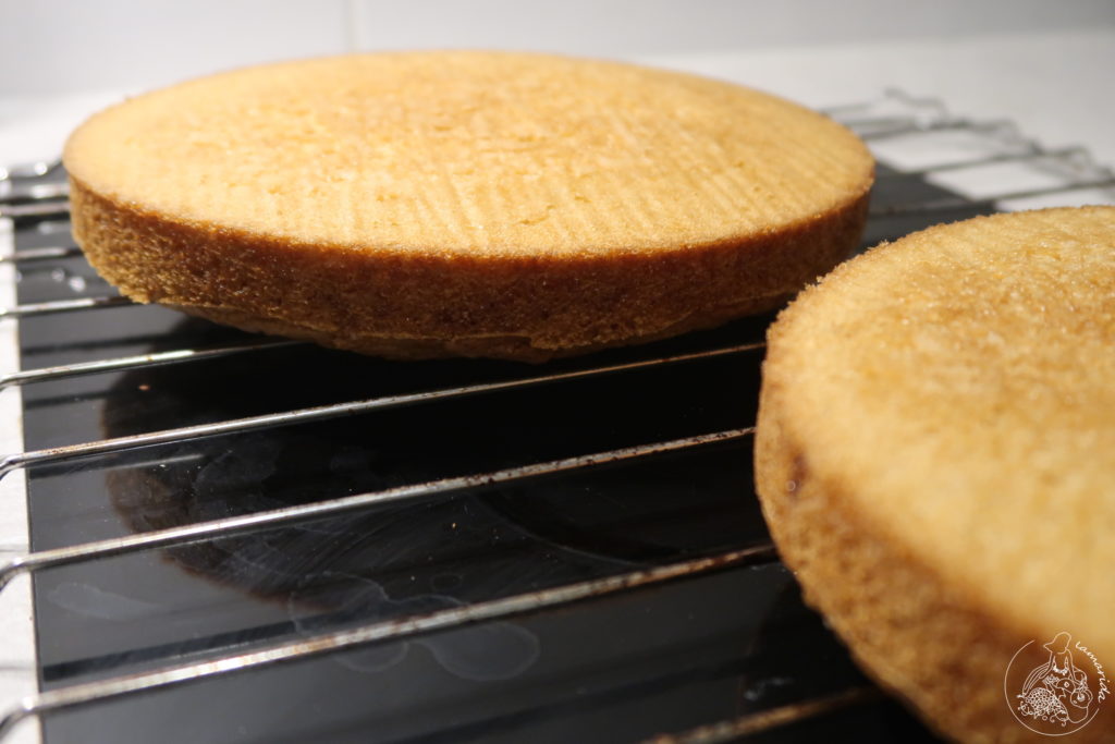 Biszkopty na tort z czekoladowym kremem